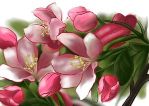 Blütenzeichnung digital