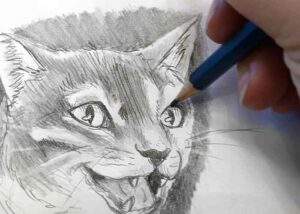 Buntstift-Zeichnung von einer lachenden Katze. Gezeichnet von Jennica Thiel